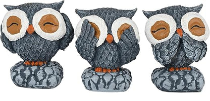 Wise Owl Trio
